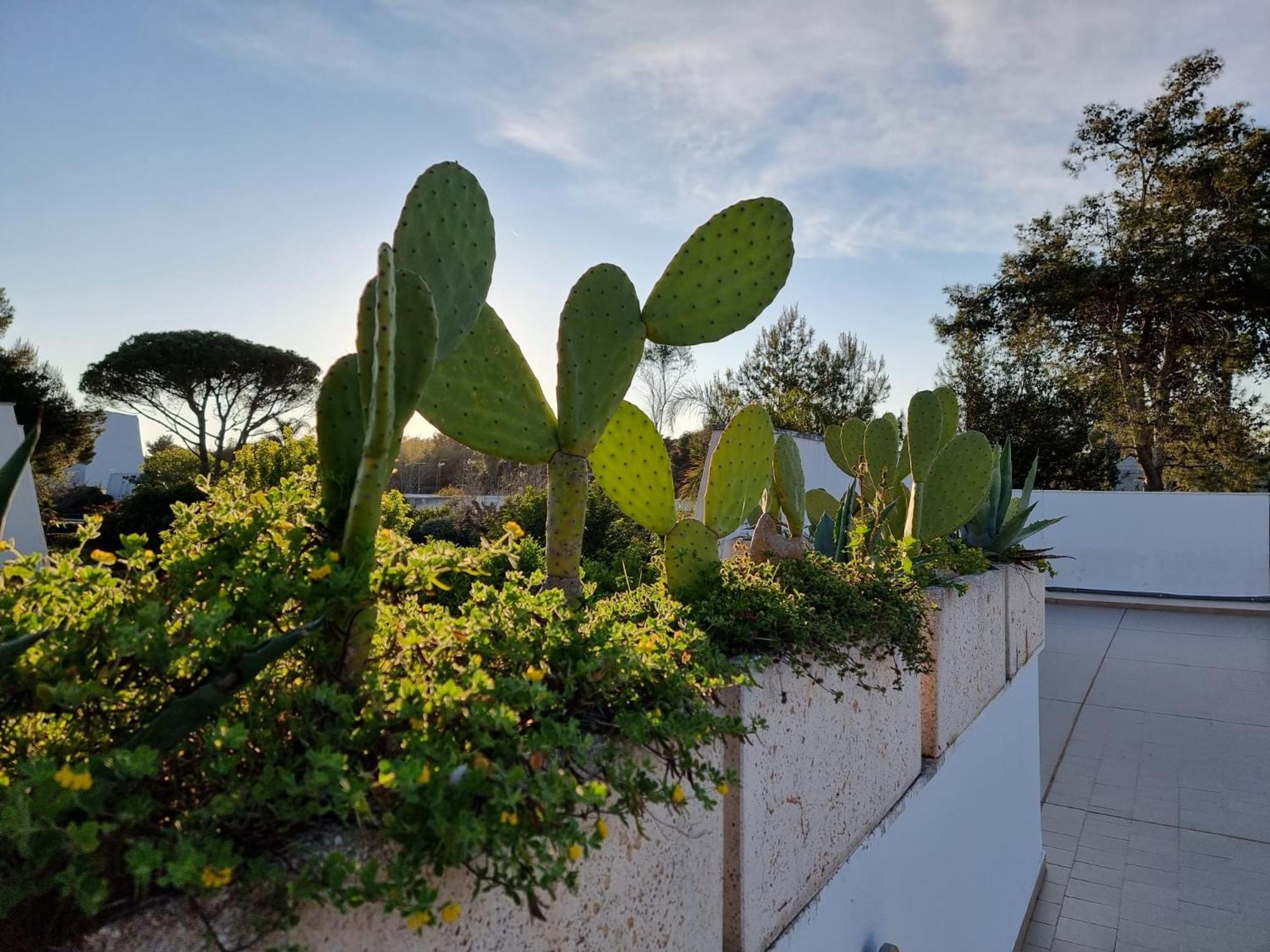 73059 Villa Ugento Exterior photo